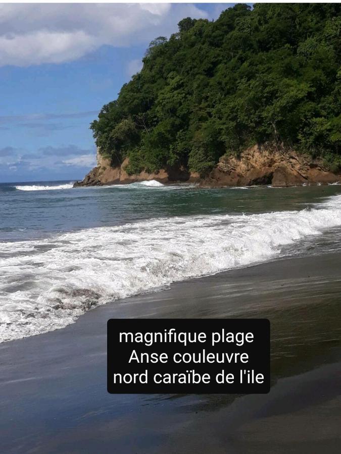 Appartement A La Montagne à Le Morne-Vert Extérieur photo
